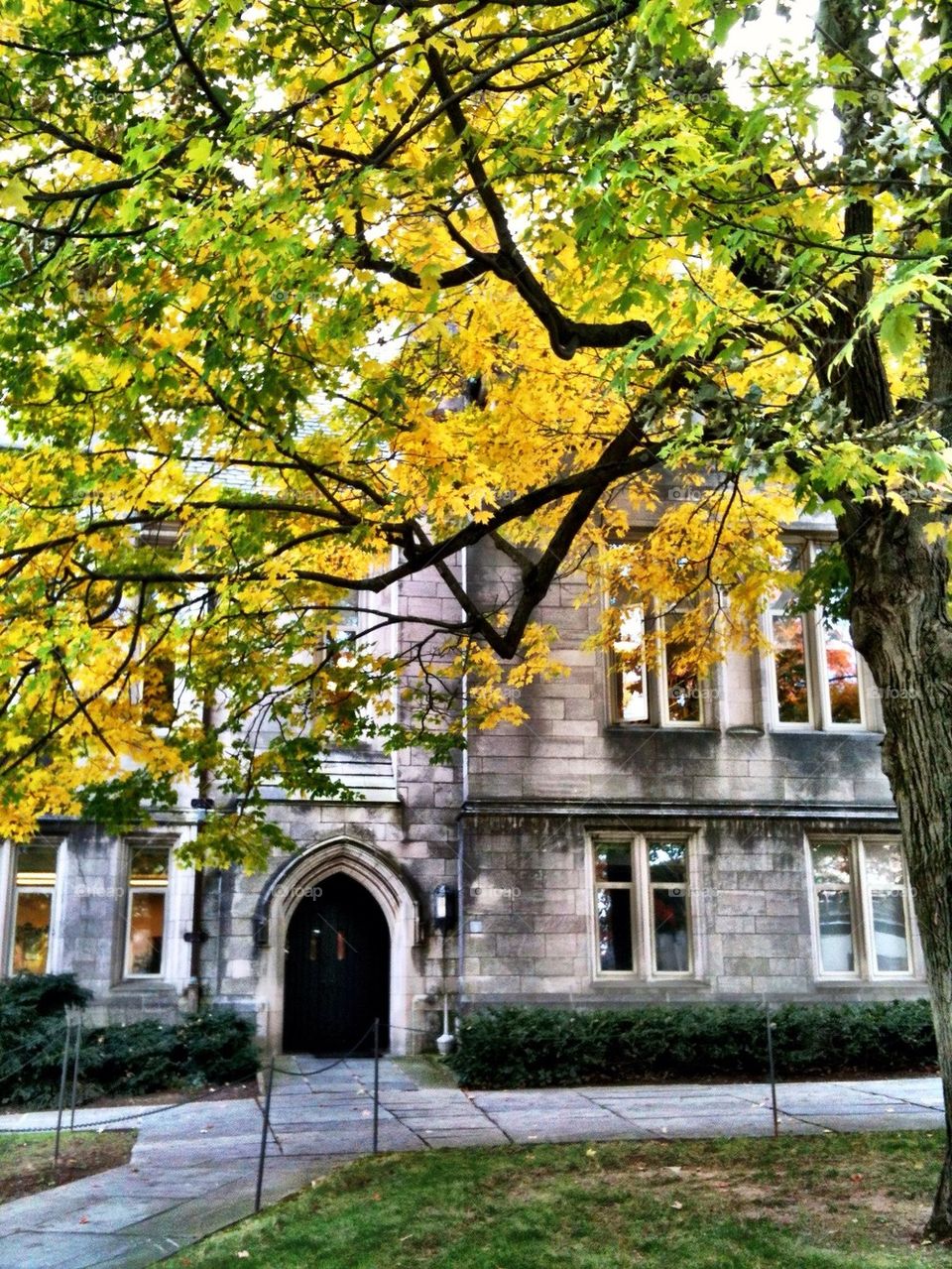 Fall in Princeton