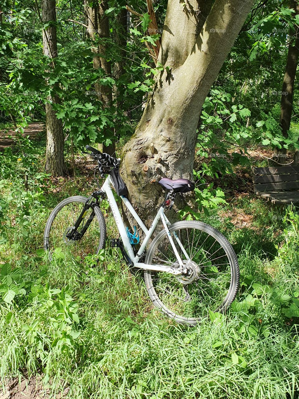 my bike is always around me