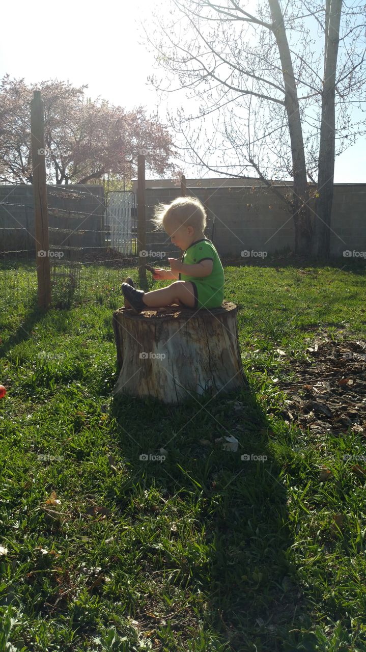 Baby on a stump. It's a baby sitting on a stump