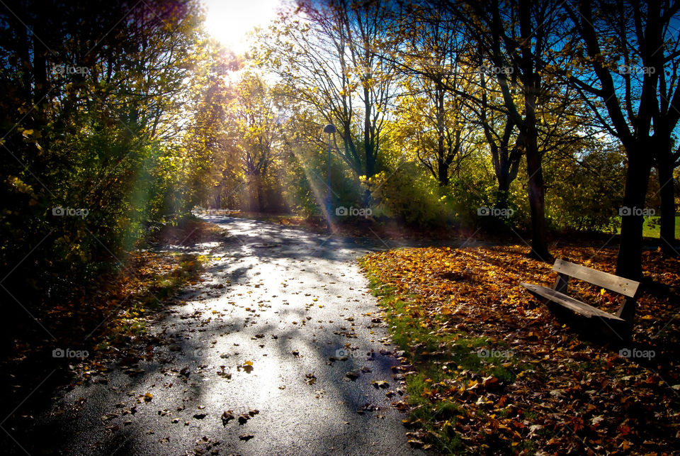 fall mission5 yalla by AS74