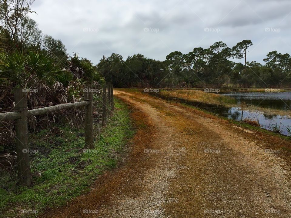 Lakeside hiking trail.