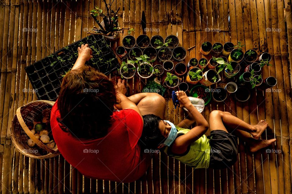 Planting on pots