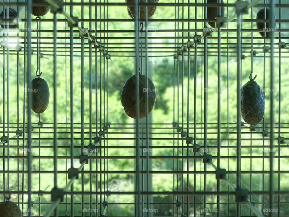 The fluidity of the lines.