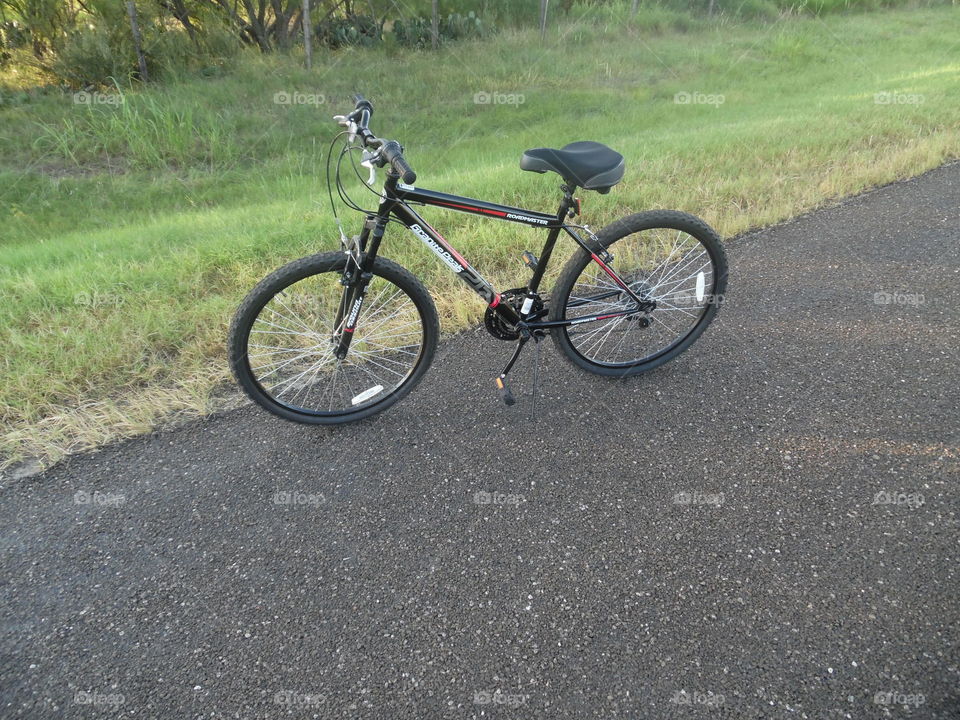 roadrunner. This is a picture of my bike 🚲 that I use to go on my exploration runs.