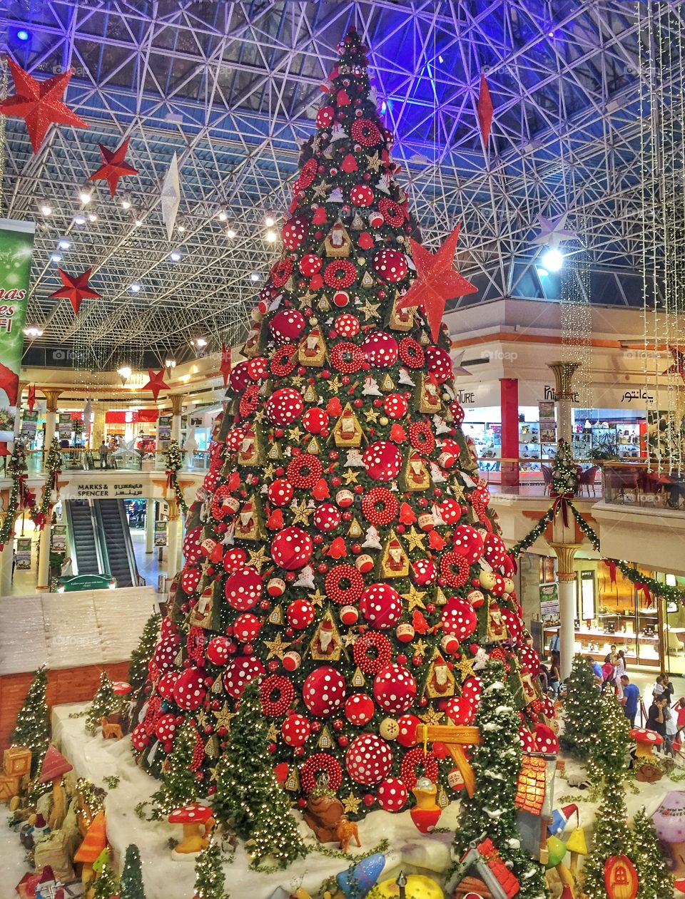 Tall Christmas tree