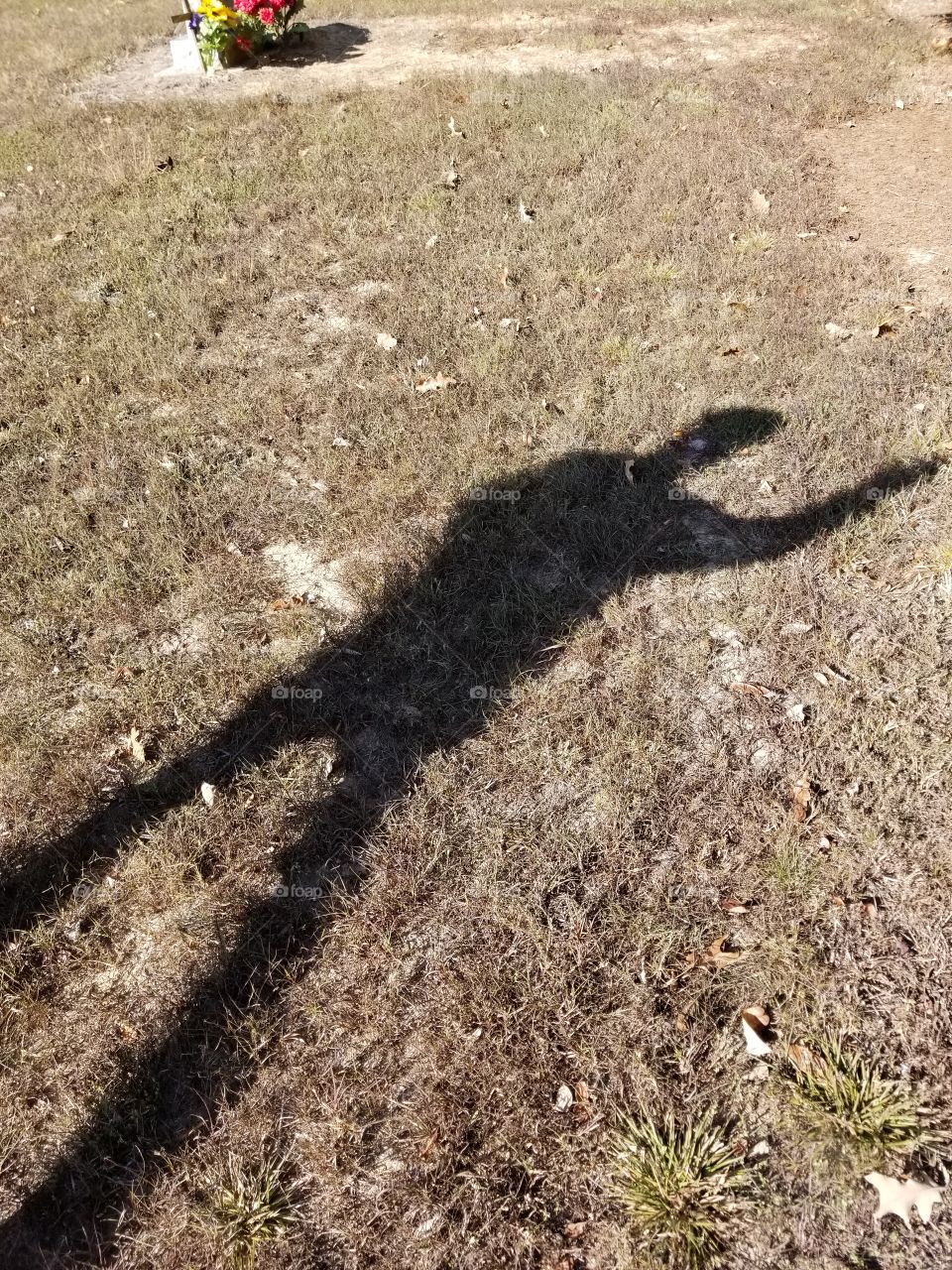 Shadow Art
