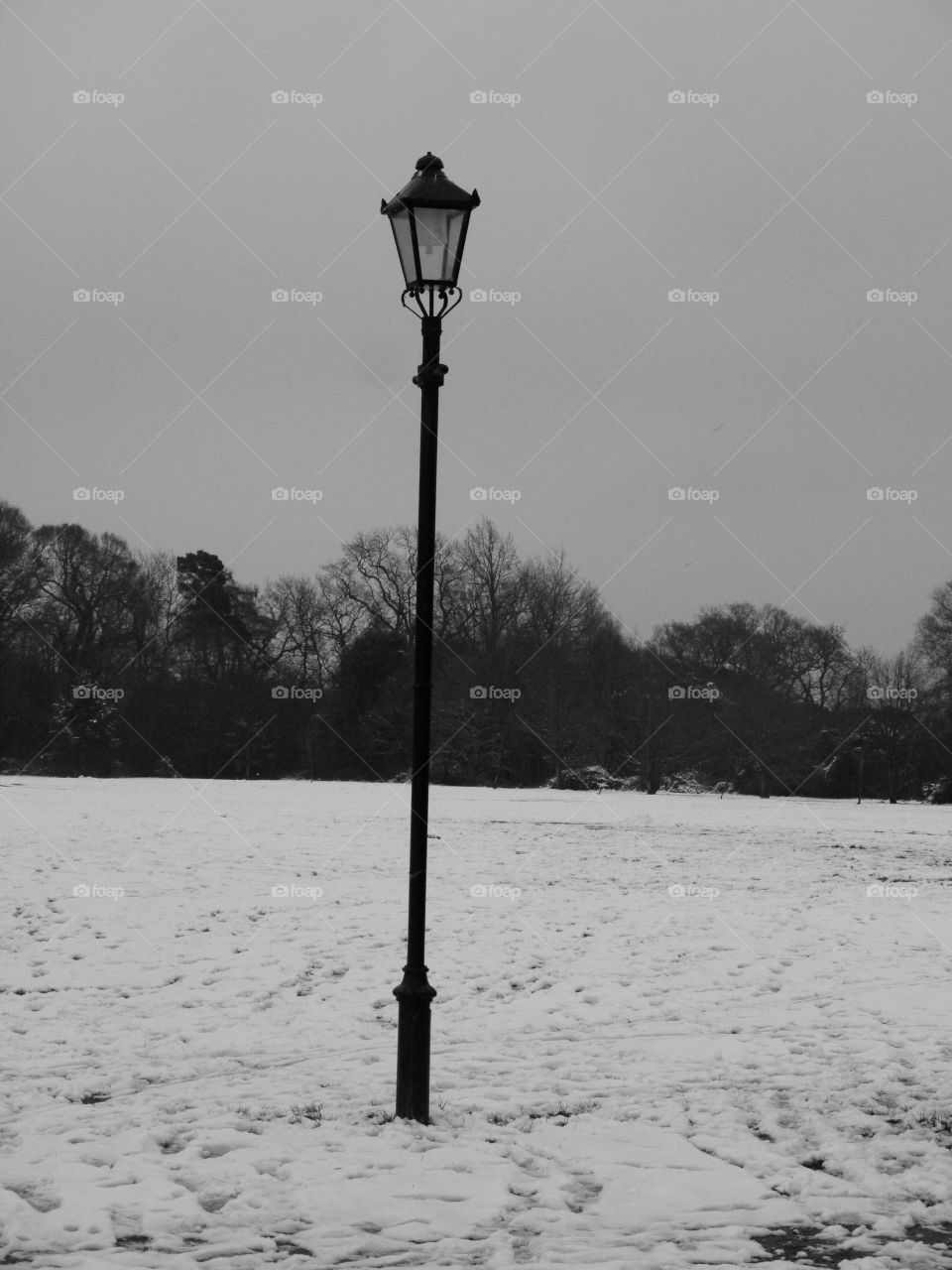 Snow Lamp. Royal Victoria Country Park