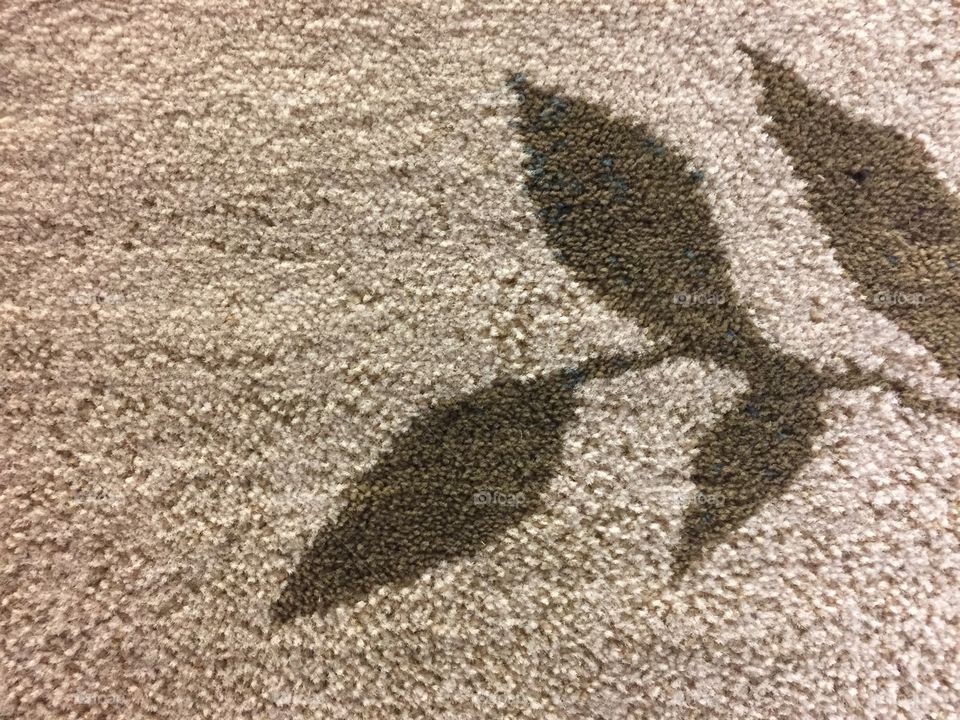 Carpet Pattern 