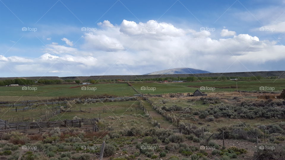 No Person, Landscape, Agriculture, Outdoors, Cropland