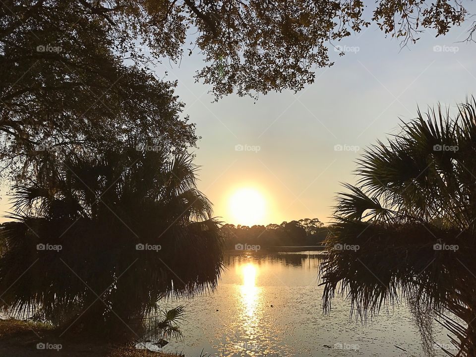 Incredible reflection 