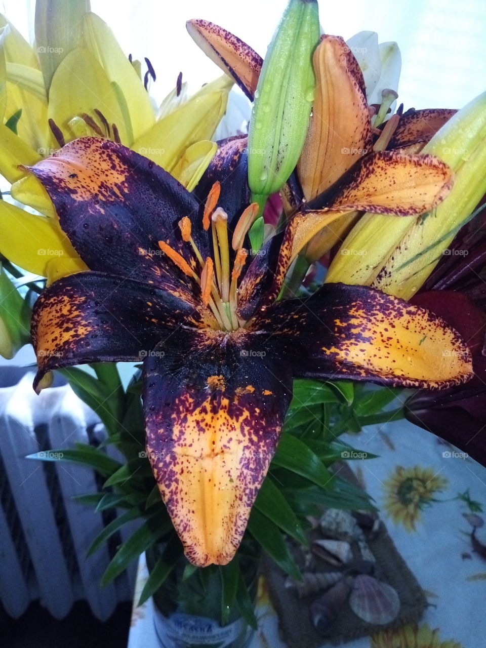 цветы.лилия.лепестки.декор.флора.