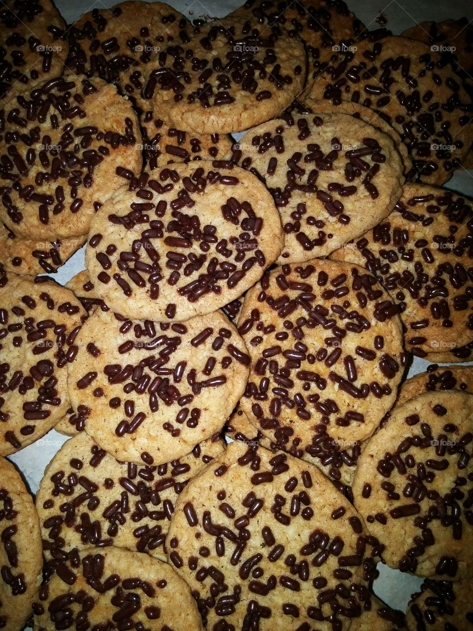 Chocolate oatmeal cookies