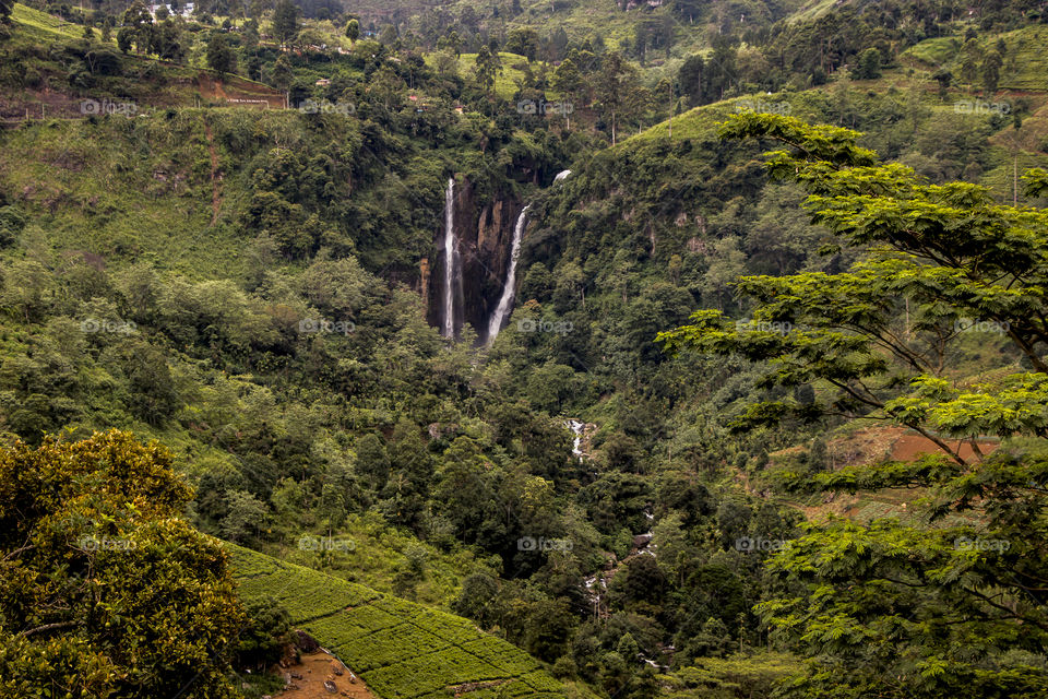 let the vacation begin