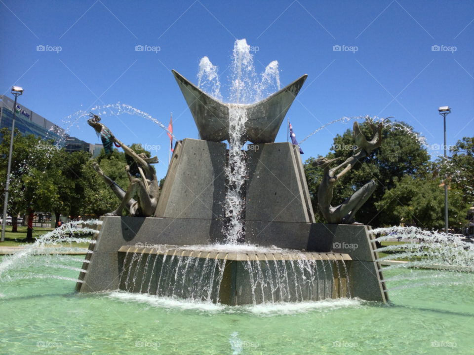 adelaide south australia trees water fountain by kshapley