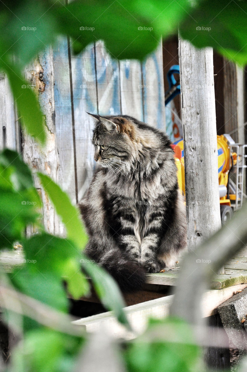 hunting wood leaves house by nivoa