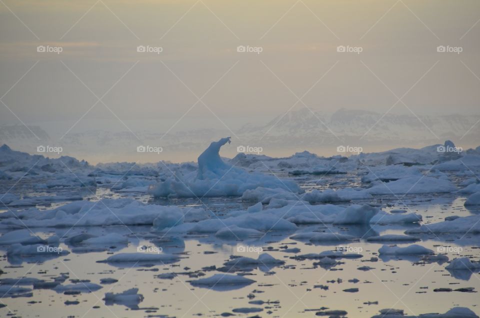 Midnight Sun Sailing Greenland