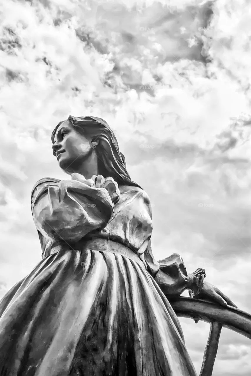 Pioneer Woman