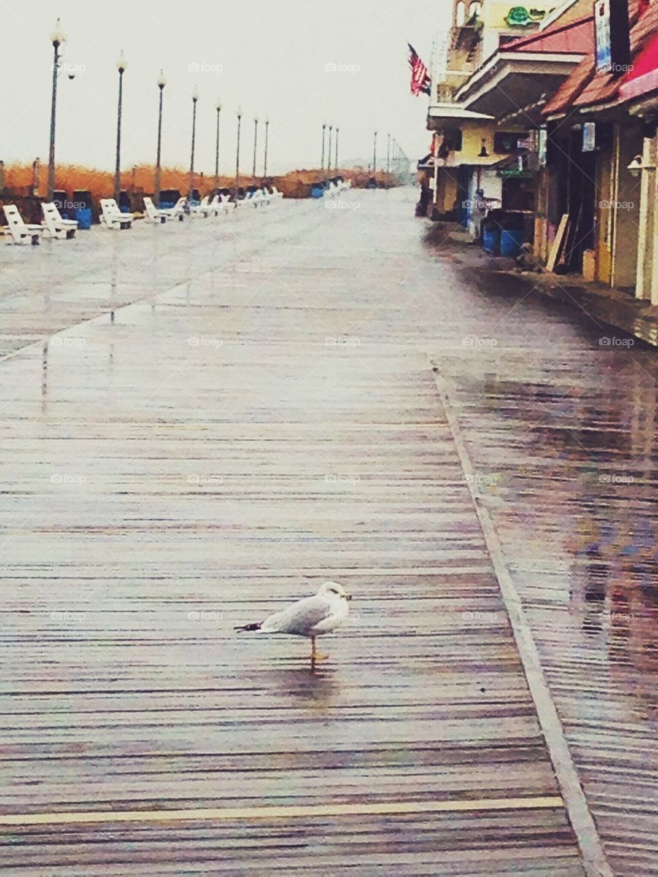 Rainy Beach Day