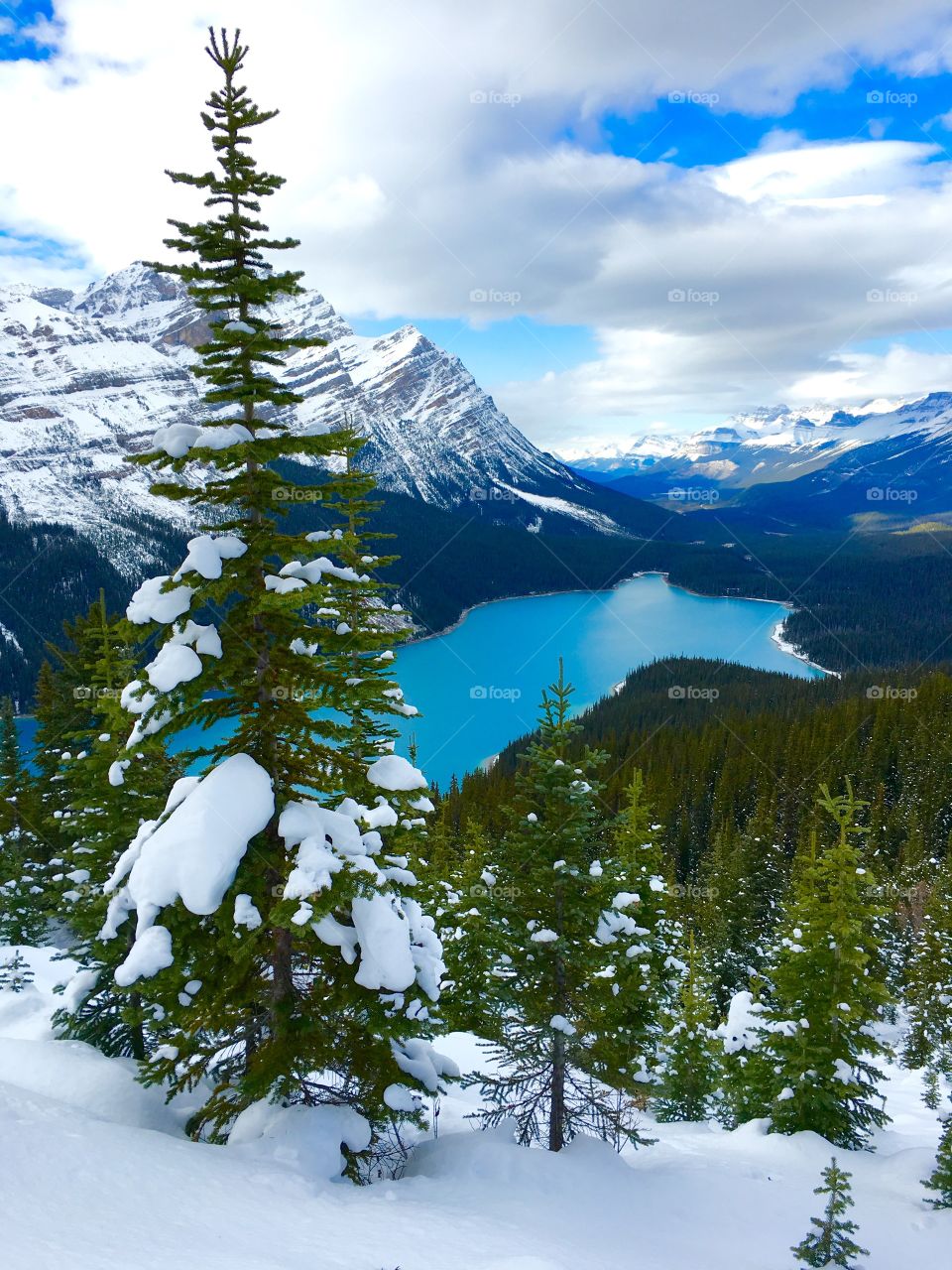 Winter scene at the lake