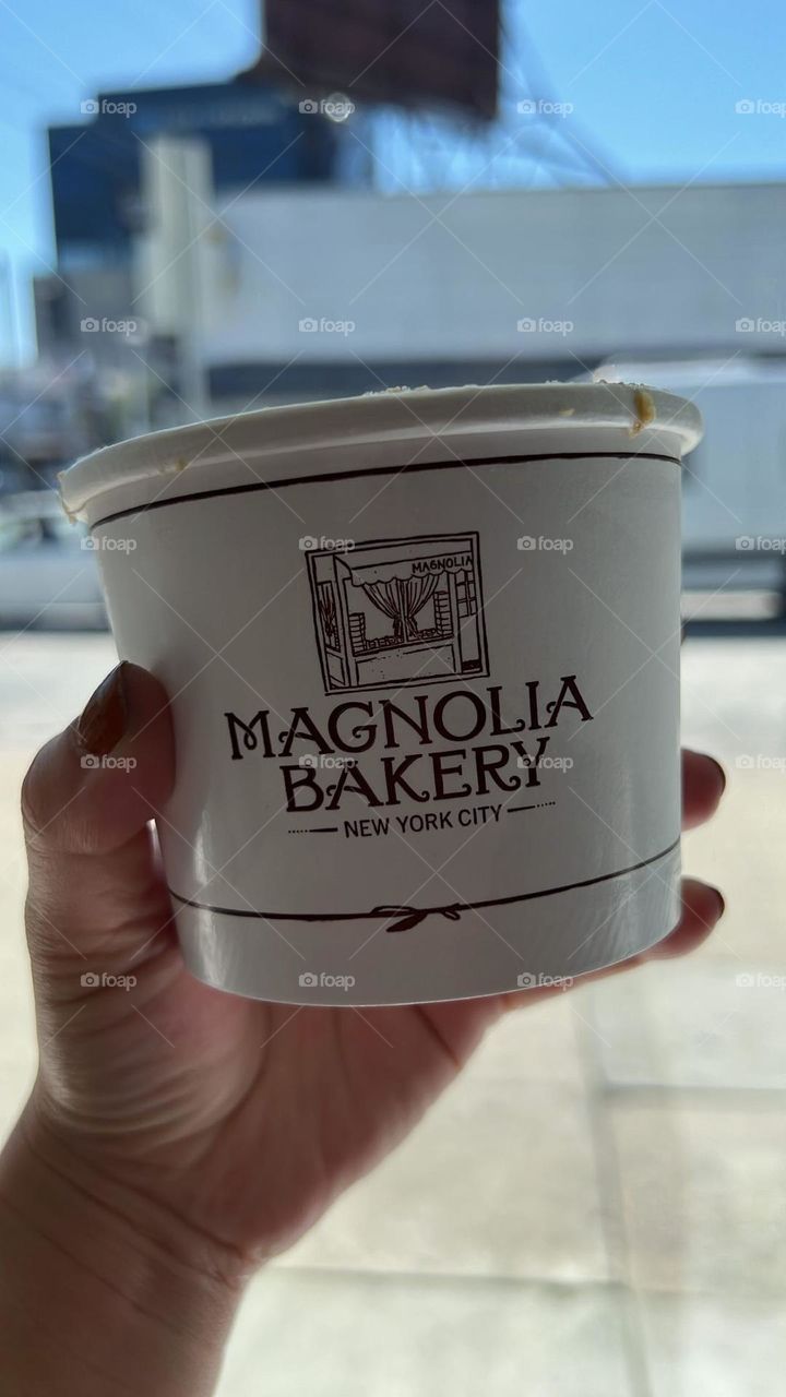 Magnolia bakery