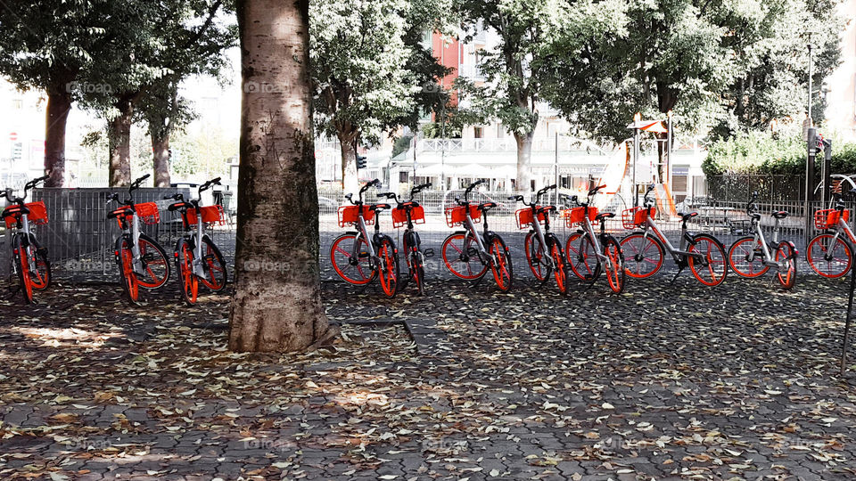 Bikes in Turin in Italy