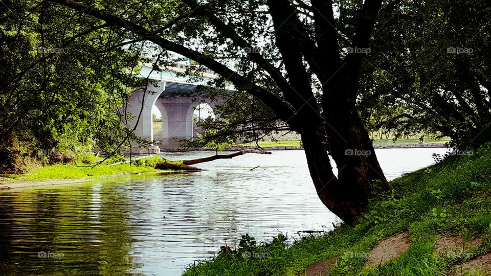 Landscape by the River