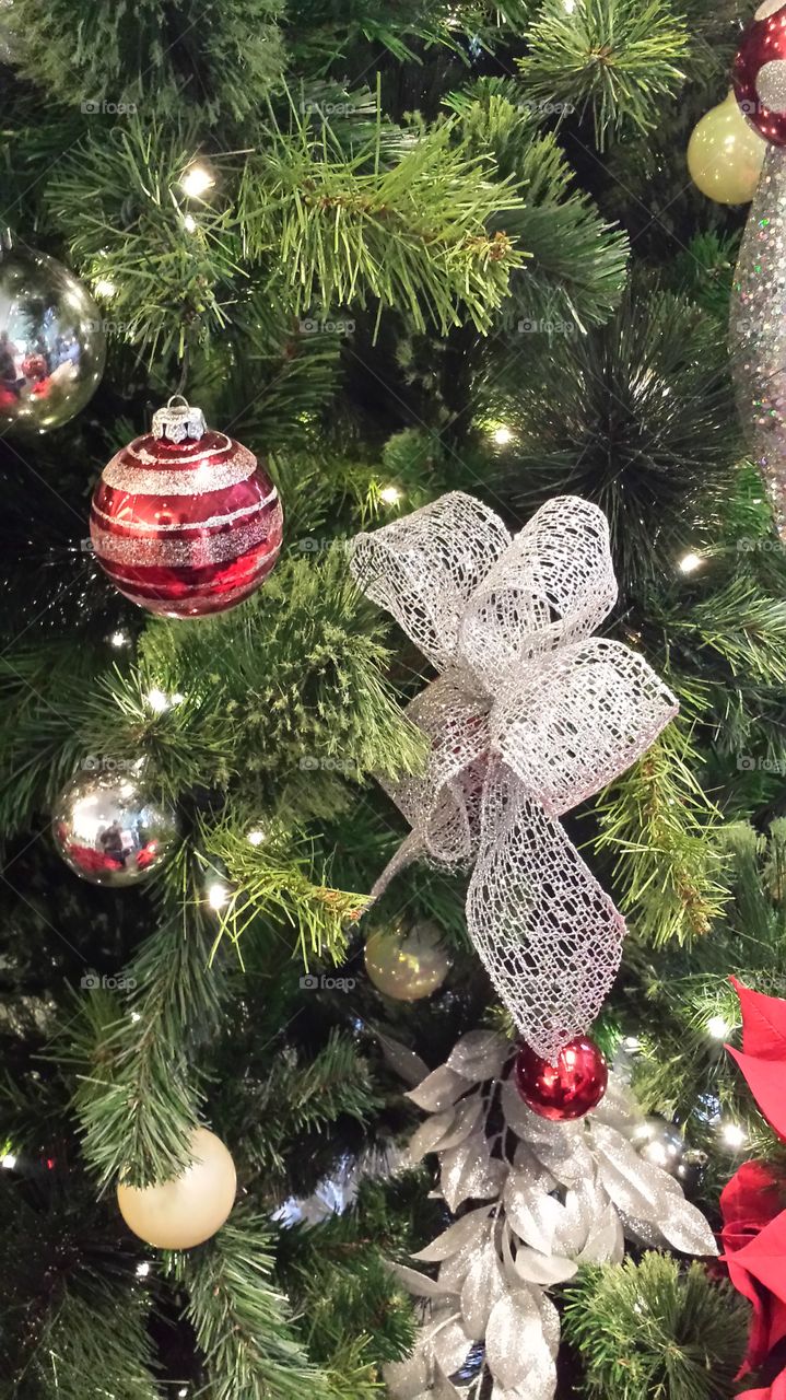 it's the most wonderful time of the year