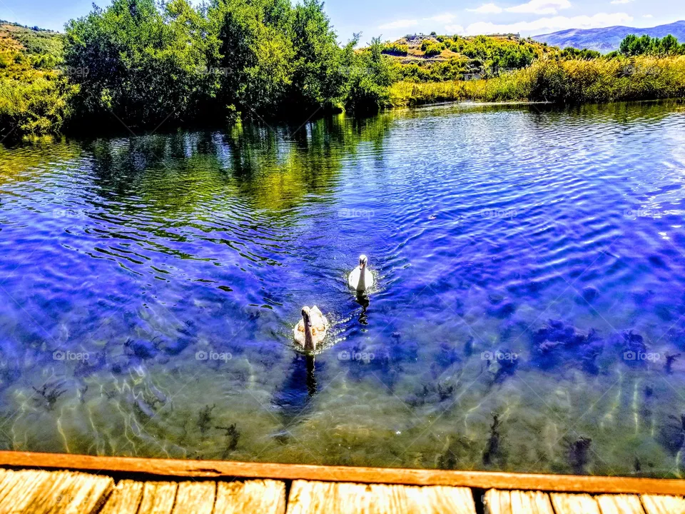Nature