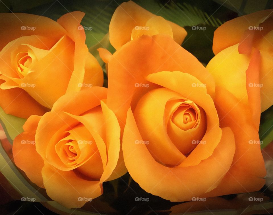 Yellow roses