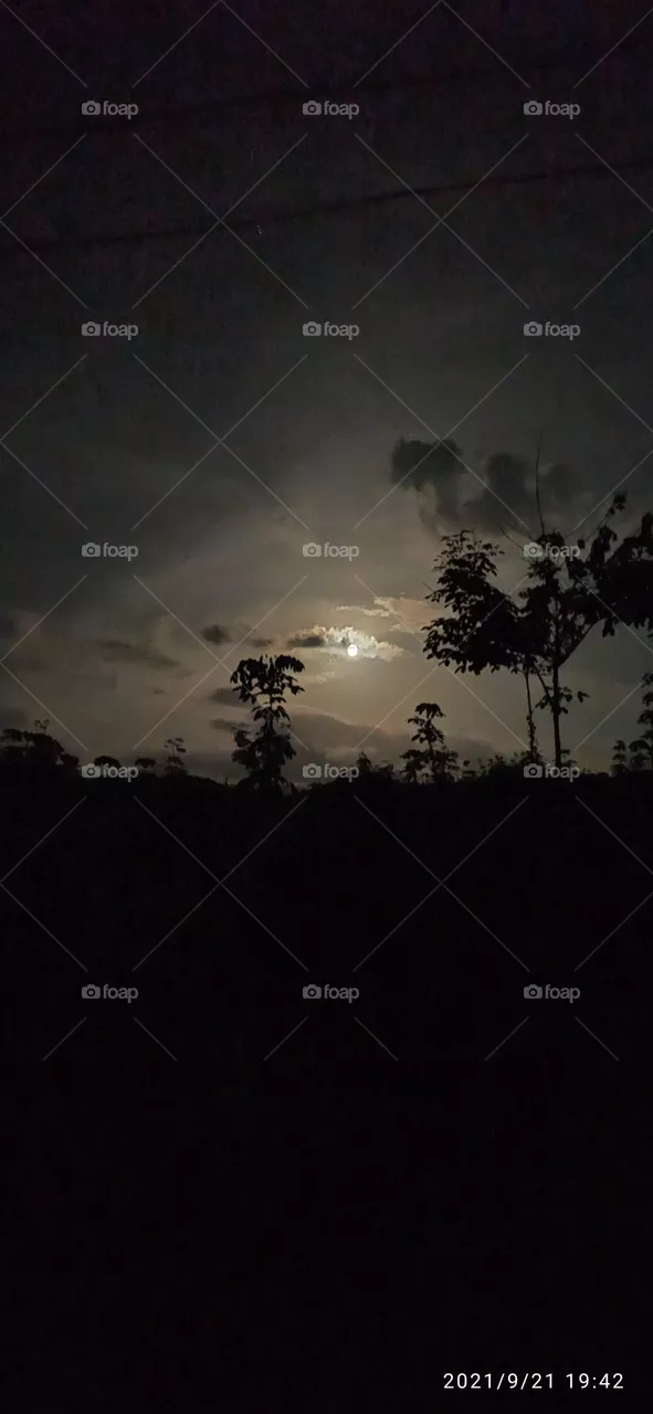 moon