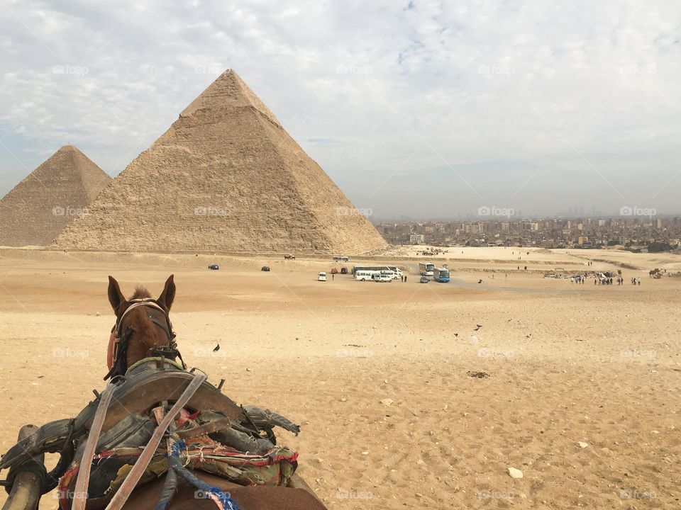Egyptian Pyramids (Horse)