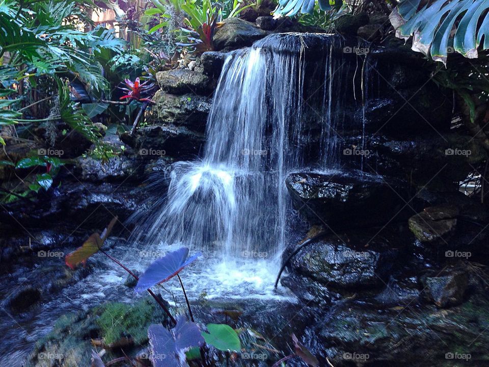 Urban garden with waterfall and foliage.