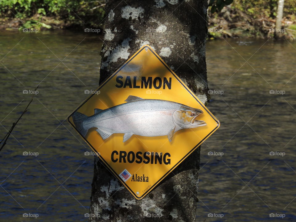 Salmon sign