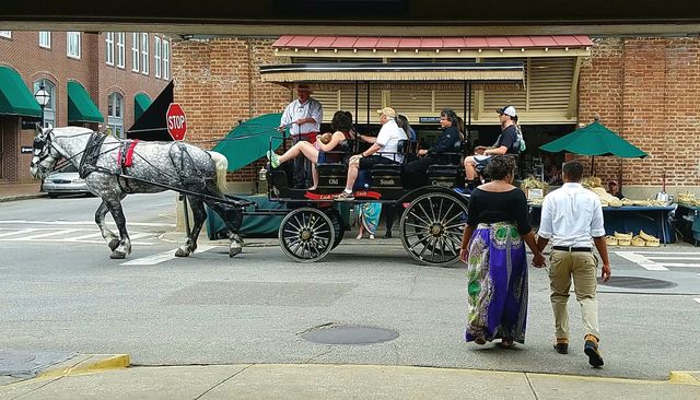horse ride