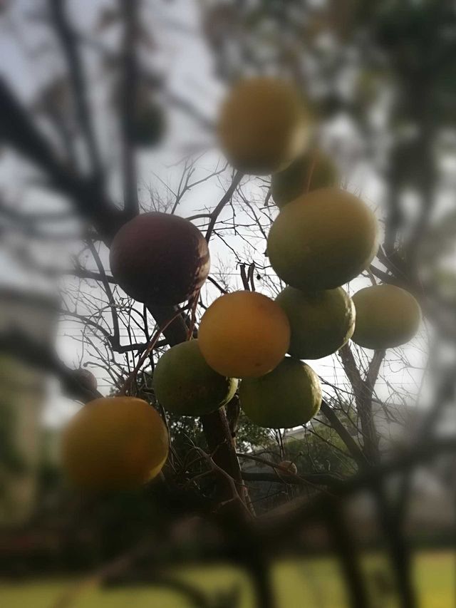 Juice keenu
