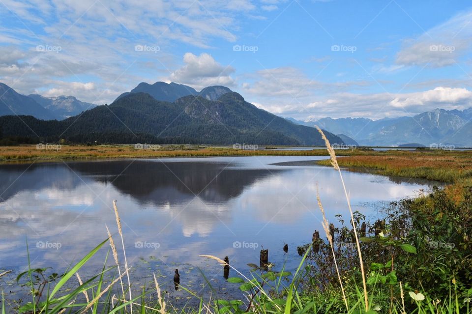 A beautiful first day of Fall walk through the marshes out out Pitt Lake, Maple Ridge BC.