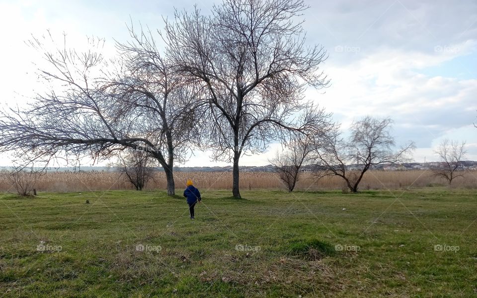 trees and a child