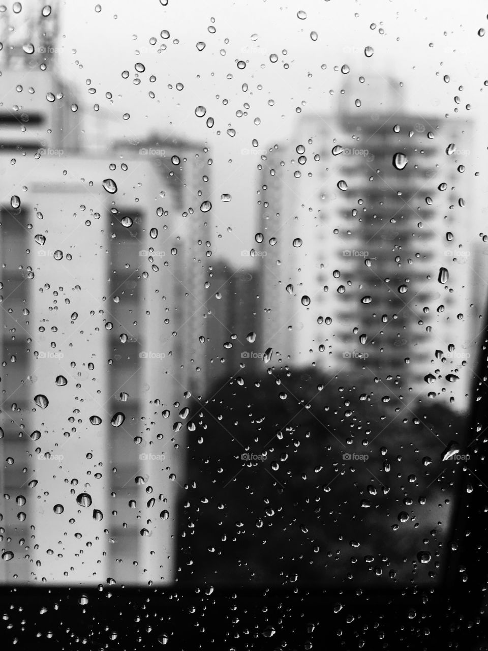 rainy city.