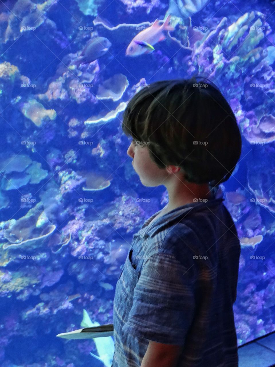 Young Boy Exploring Marine Biology
