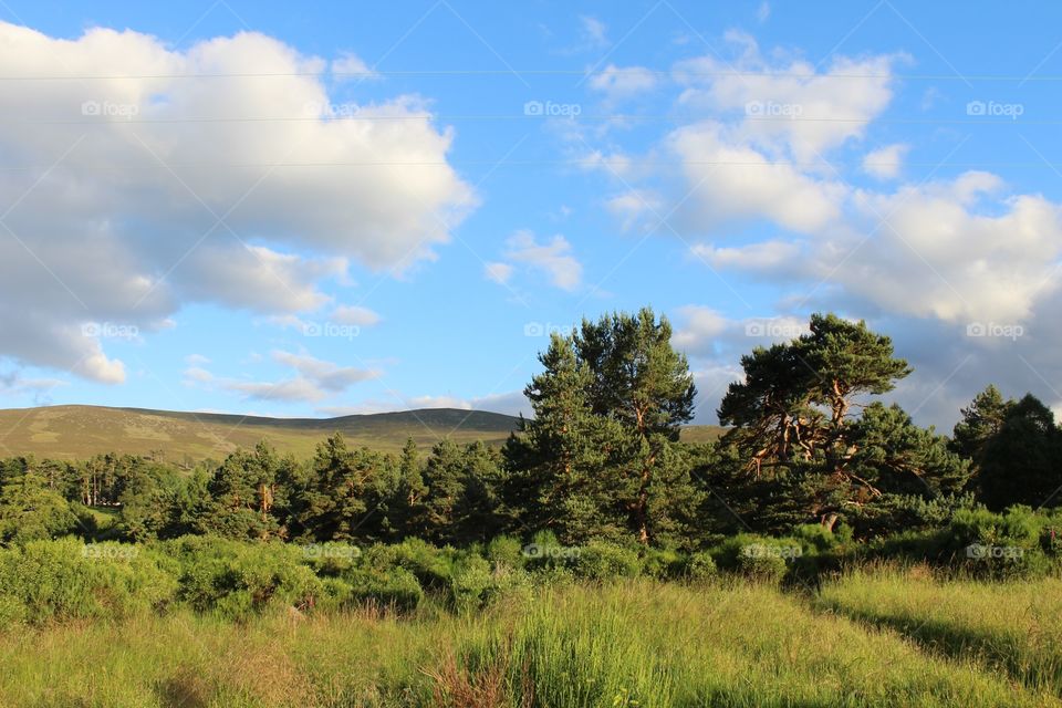 No Person, Landscape, Sky, Tree, Nature