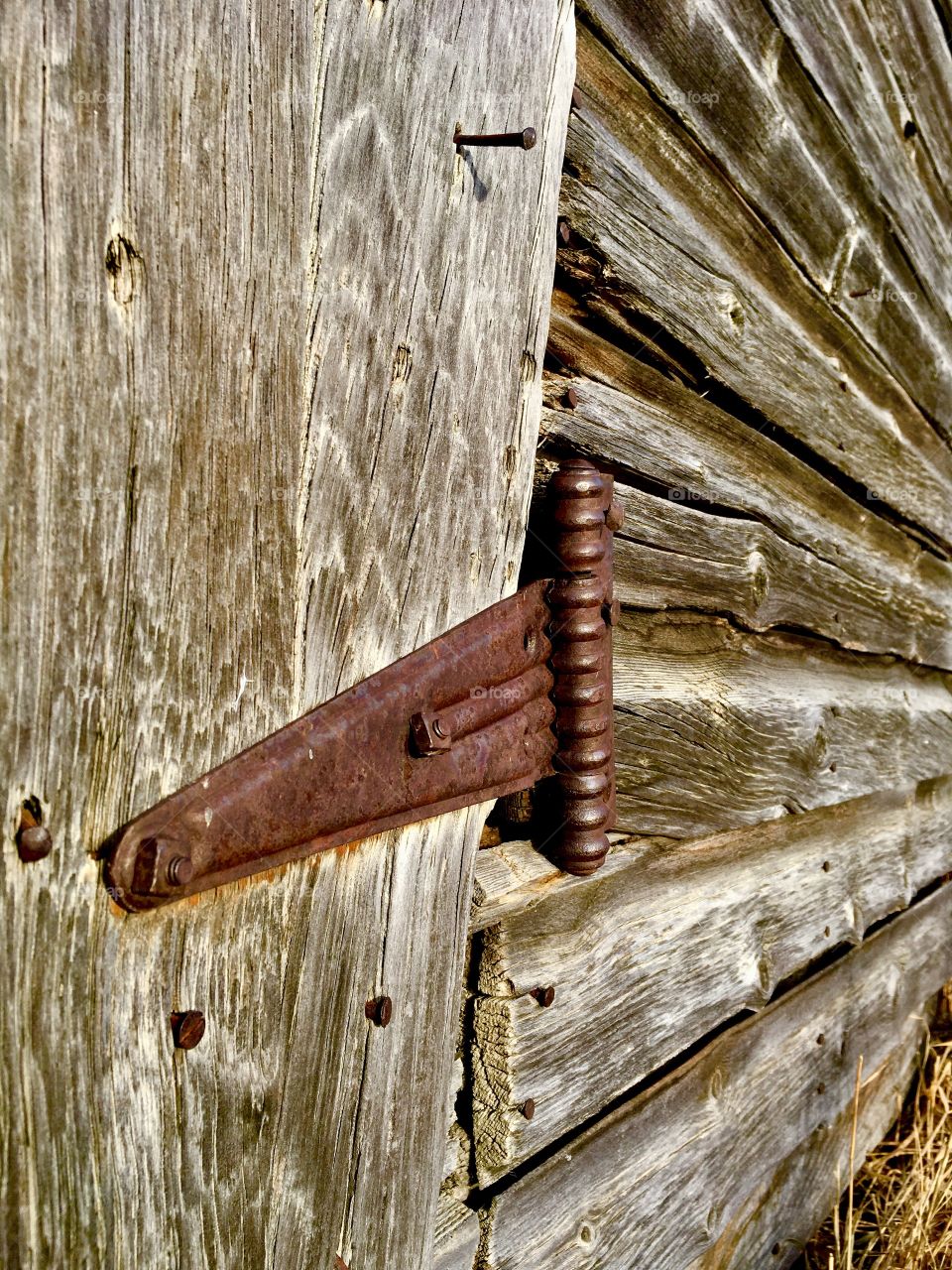 Old wooden door 