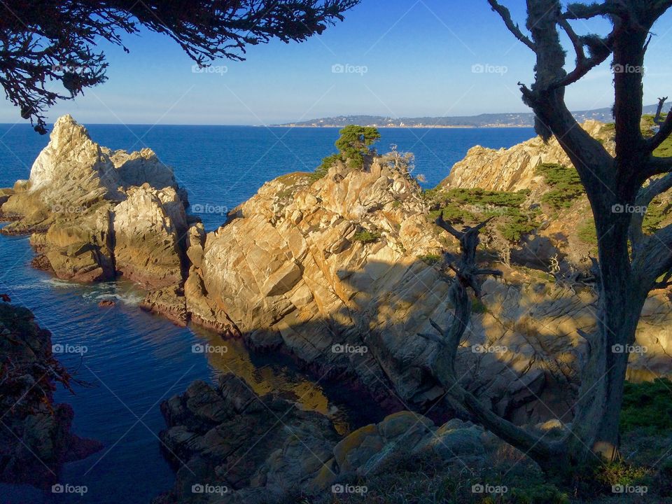 Point Lobos