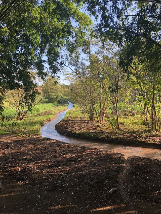 Esse lugar lindo? Uma nascente em uma chácara que amamos ficar! Trás umas paz essa foto, quando a tirei nem acreditei que consegui captar tal beleza! 