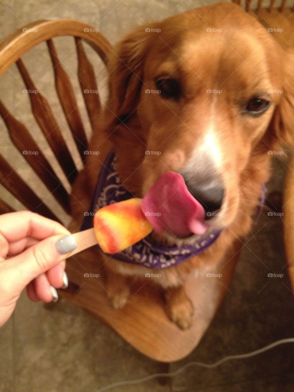 Popsicle treats