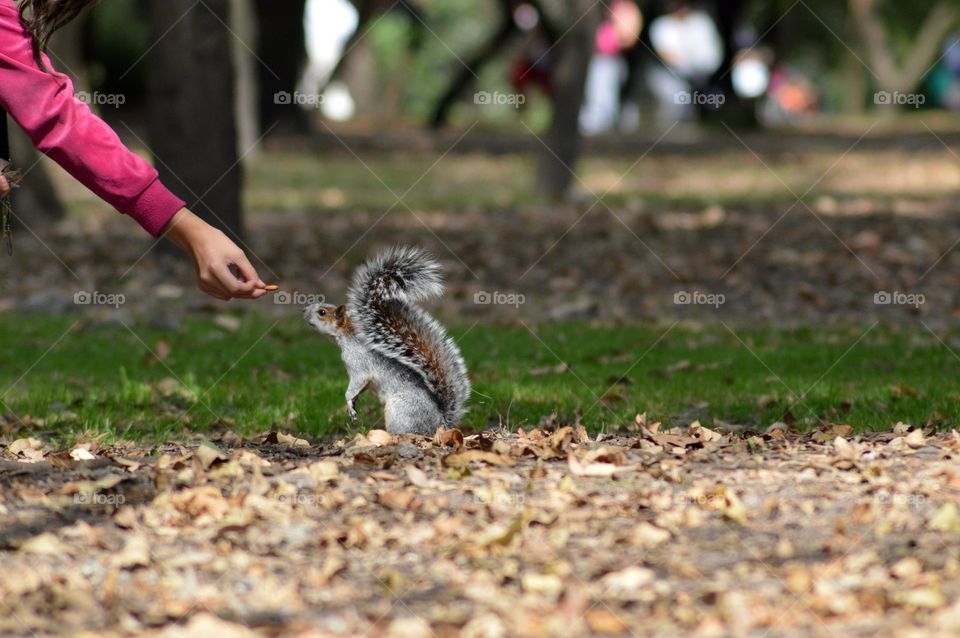 Mexico! ! Muéstranos tus actividades al aire libre!