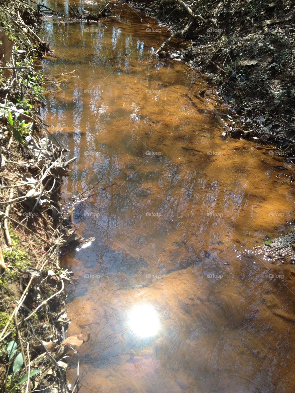 Creek reflections