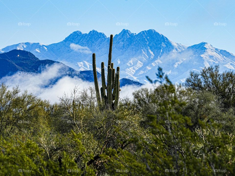 Snow covers Four Peaks in the Tonto Wilderness near Phoenix Arizona