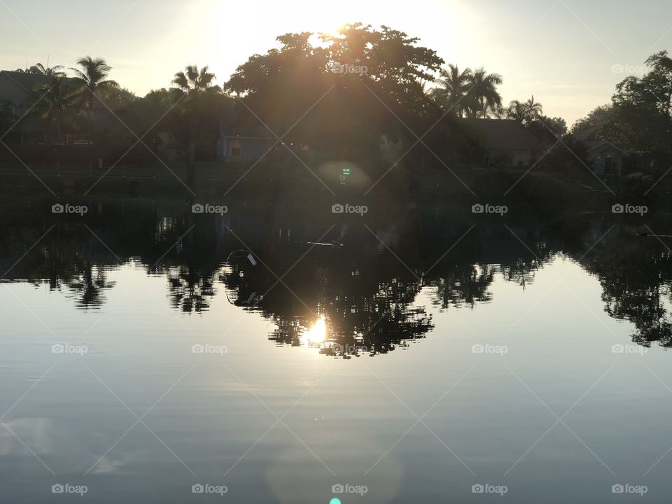 Sunlight reflections