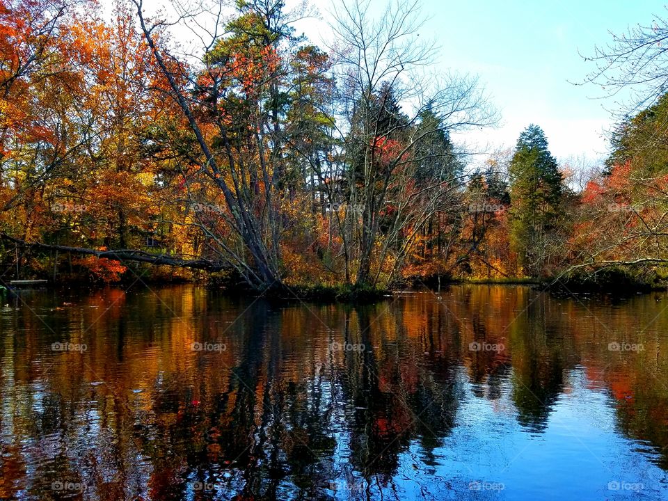 fall kayaking in the pine Barrens of new jersey