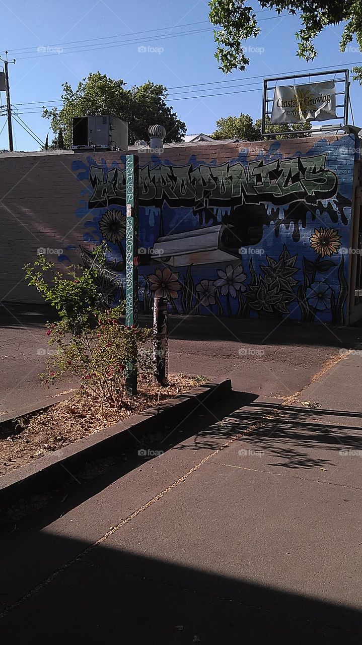 Sidewalk sunflower lamp. Out for a walk to my neighborhood